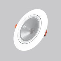 Movable Cob Downlight